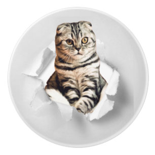 Playful Funny Torn Paper Cute Cat Lover Humor Ceramic Knob