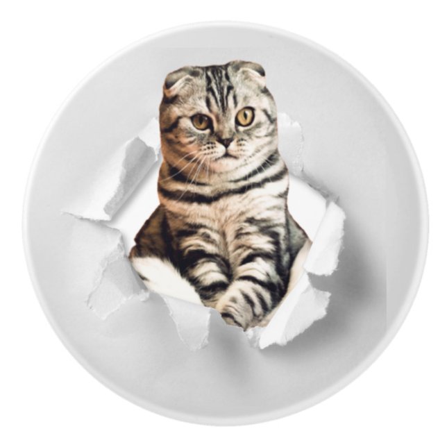 Playful Funny Torn Paper Cute Cat Lover Humor Ceramic Knob (Front)