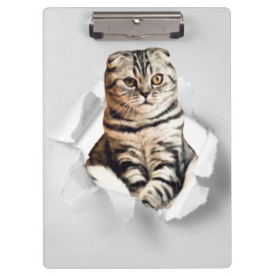 Playful Funny Torn Paper Cute Cat Lover Humor Clipboard