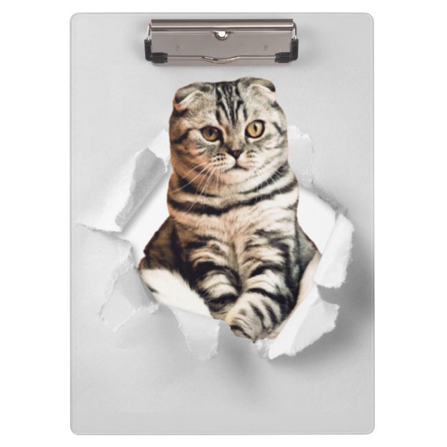 Playful Funny Torn Paper Cute Cat Lover Humor Clipboard (Front)