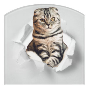Playful Funny Torn Paper Cute Cat Lover Humor Door Sign