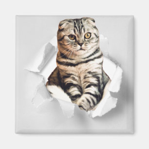 Playful Funny Torn Paper Cute Cat Lover Humor Magnet