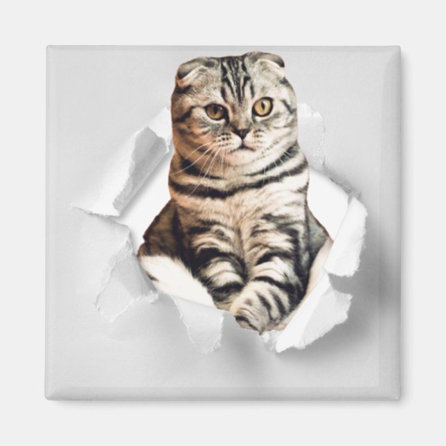 Playful Funny Torn Paper Cute Cat Lover Humor Magnet (Front)