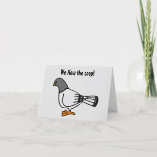 Playful Gray Pigeon Cartoon New Address Postcard