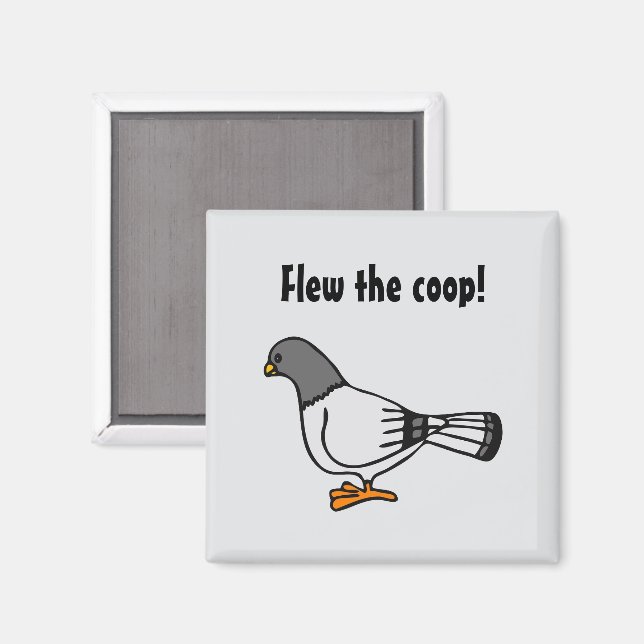 Playful Gray Pigeon Cartoon New Address Postcard  Magnet (Front/Back)