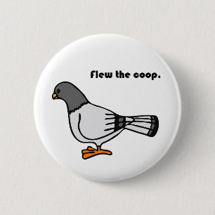 Playful Gray Pigeon Cartoon New Travels or Address Button