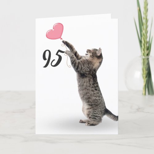 playful gray tabby cat for 95th birthday card