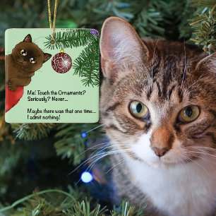 Playful Green Cute Christmas Brown Cat Humor Ceramic Ornament