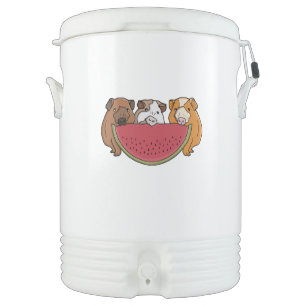 Playful Guinea Pigs and Watermelon Illustration Beverage Cooler