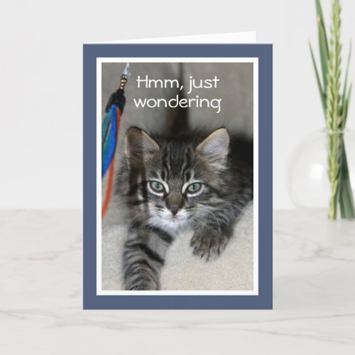 Playful Kitten Birthday Card