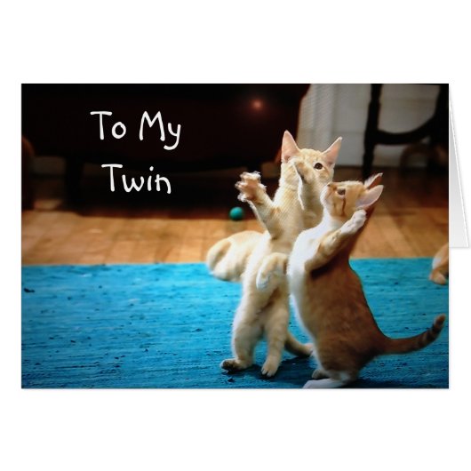 PLAYFUL KITTENS *HAPPY BIRTHDAY" CARDS (Front Horizontal)