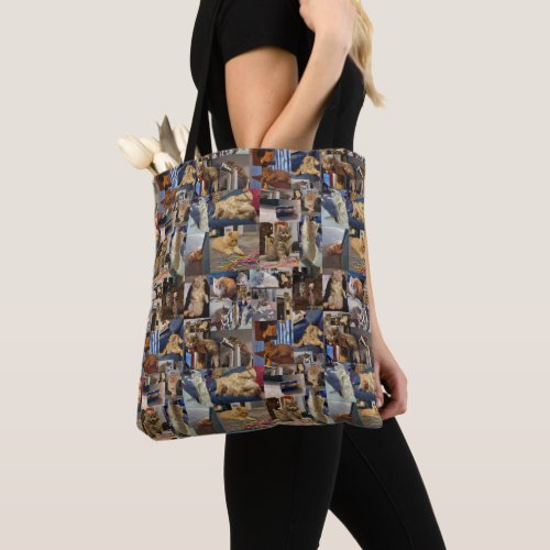 Playful Kittens Photo Collage Tote Bag
