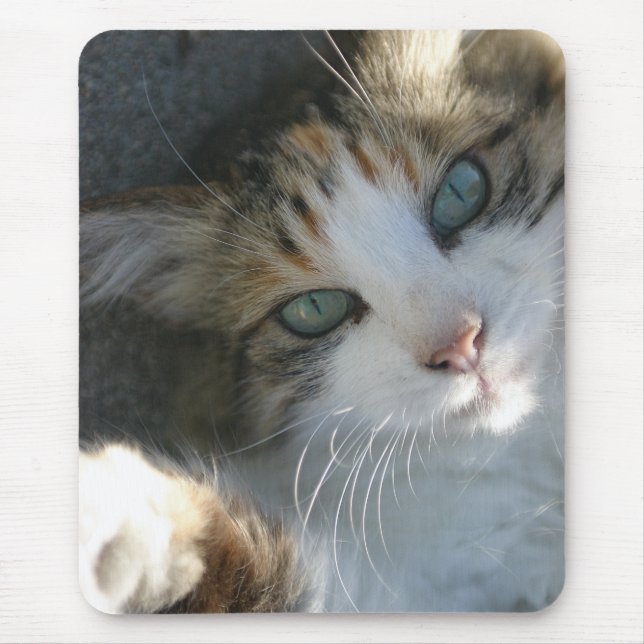 Playful Kitty Mouse Pad (Front)