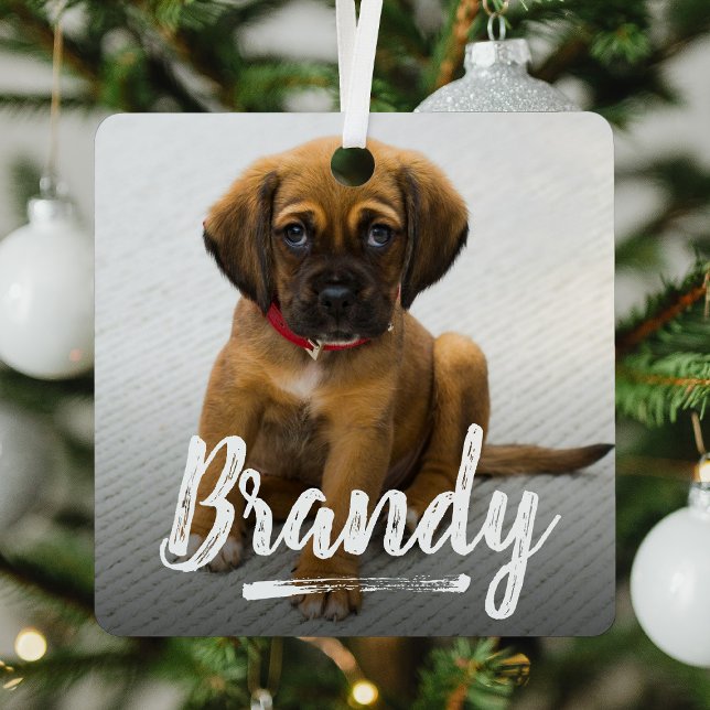 Playful Lettering Pet Photo Christmas Metal Ornament (Creator Uploaded)