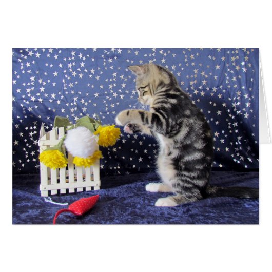 Playful Little Girl - Lilo (Front Horizontal)