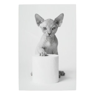 Playful Minimal Aesthetic Sphynx Cat Toilet Paper Metal Print