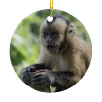 Playful Monkey Ornament