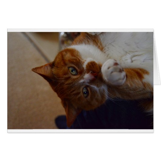 Playful Nutmeg. Cards (Front Horizontal)