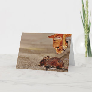Playful Orange Cat with Mouse Blank Greeting Card