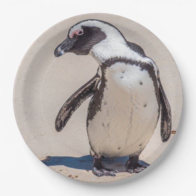 Playful Penguin Paper Plates (Front)