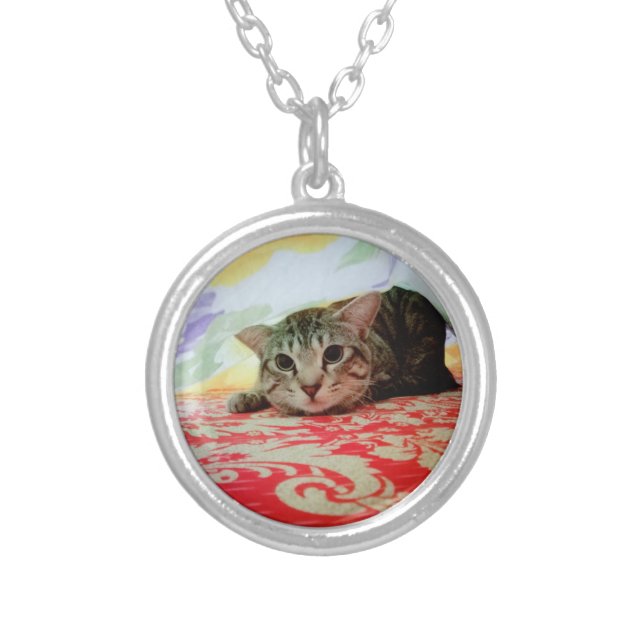 Playful Pet Cat Portrait In Bed Silver Plated Necklace (Front)