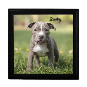 Playful Pit Bull Personalized Jewelry Keepsake Box