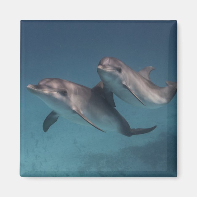 Playful Pose Magnet (Front)