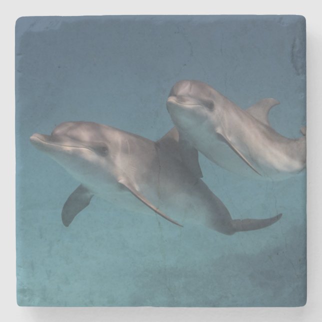 Playful Pose Stone Coaster (Front)