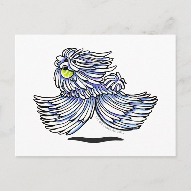 Playful Puli Komondor Postcard (Front)