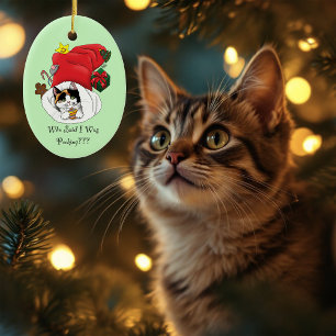 Playful Red Christmas Calico Kitten Holidays Ceramic Ornament