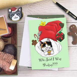 Playful Red Christmas Calico Kitten Holidays Holiday Postcard