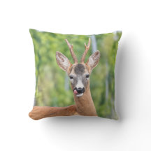 Playful Roe Buck in Green Woodland