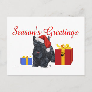 Playful Scottish Terrier Greetings Postcard