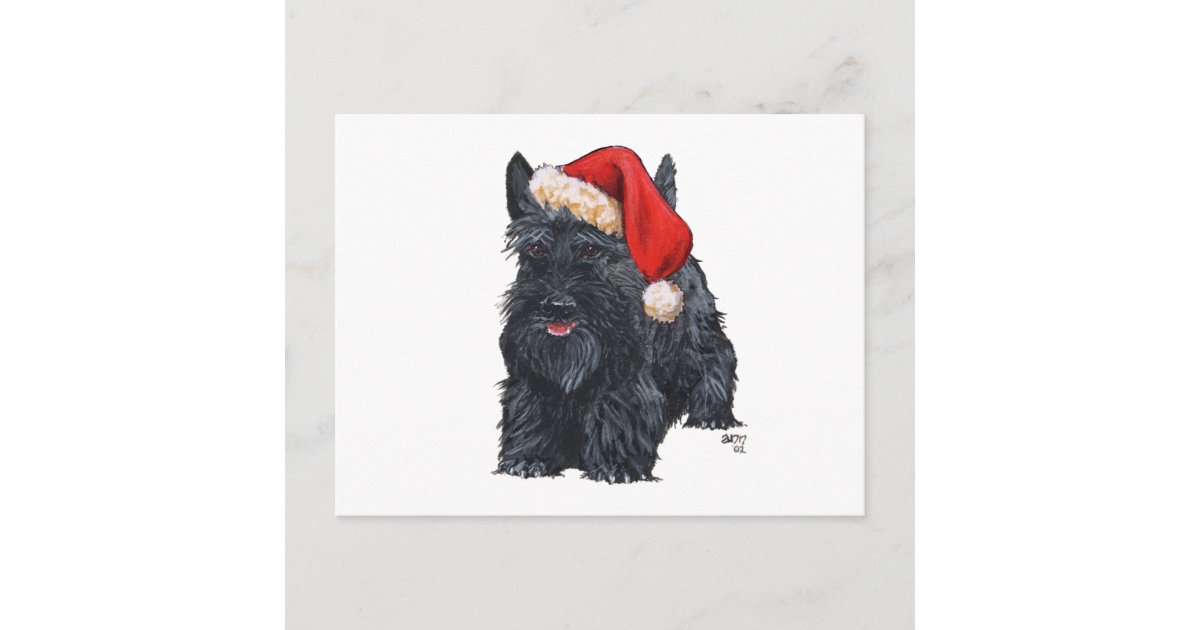 Playful Scottish Terrier Santa Holiday Postcard