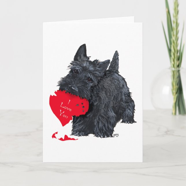 Playful Scottish Terrier Valentine Card (Front)