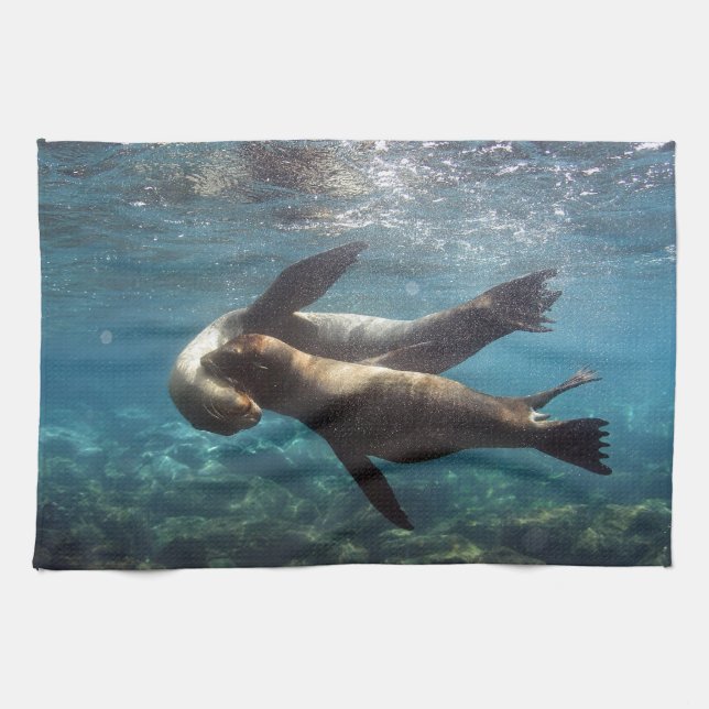 Playful sea lions Galapagos Islands Towel (Horizontal)