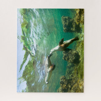 Playful Sea Lions Puzzle