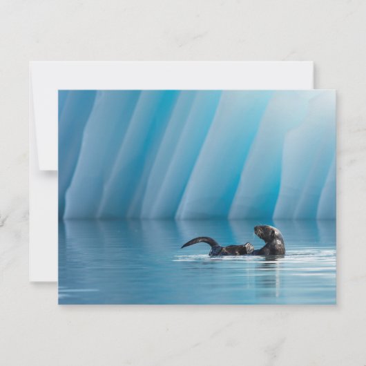 Playful Sea Otter (Front)