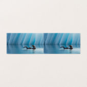 Playful Sea Otter (Outside Unfolded)