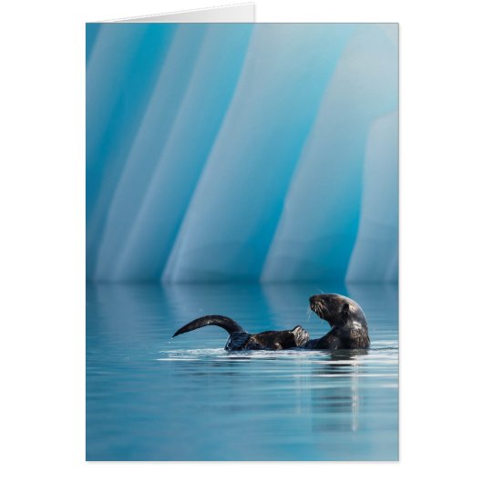 Playful Sea Otter Cards (Front)