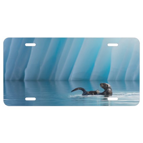 Playful Sea Otter License Plate