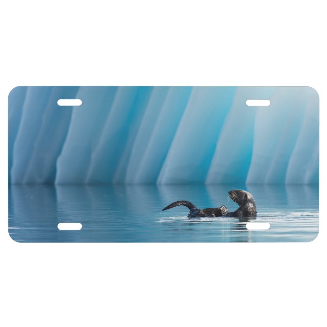 Playful Sea Otter License Plate (Front)