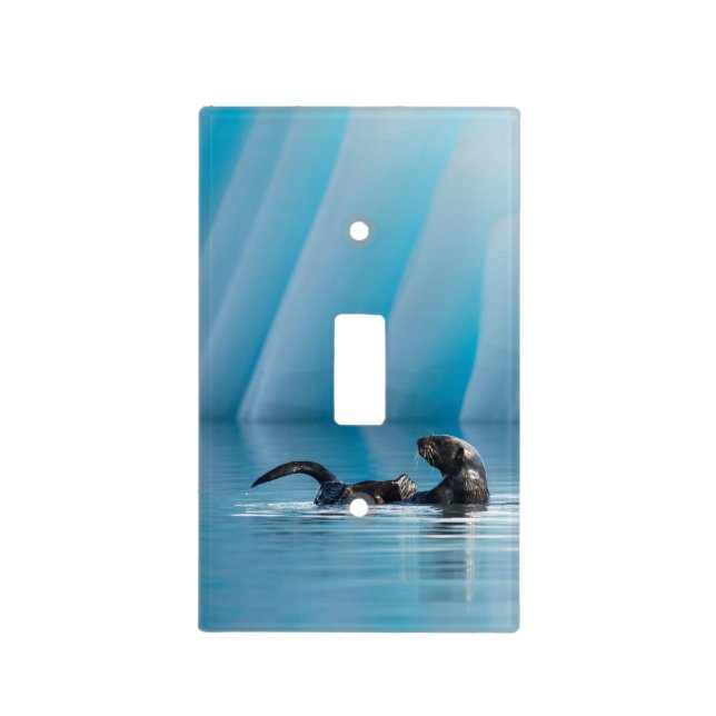 Playful Sea Otter Light Switch Cover (Front)