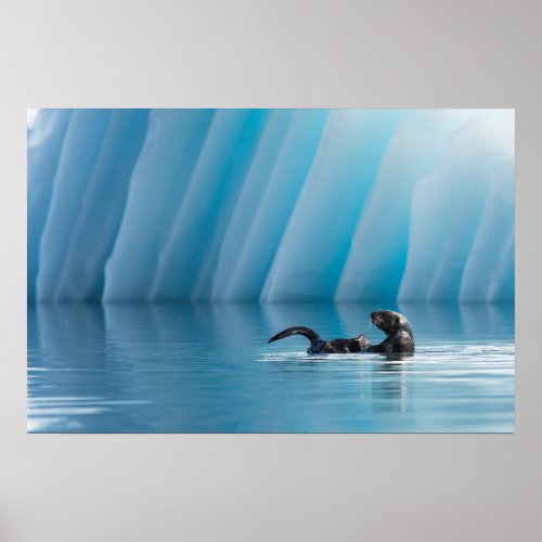 Playful Sea Otter Poster