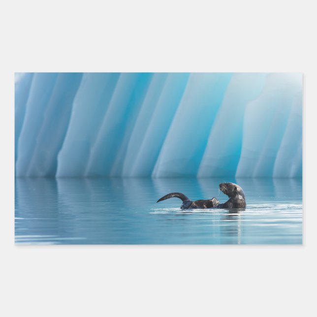 Playful Sea Otter Rectangular Sticker (Front)