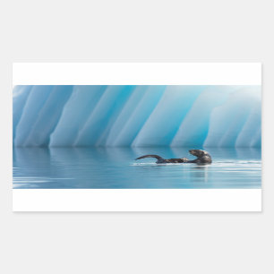 Playful Sea Otter Rectangular Sticker