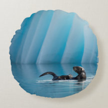 Playful Sea Otter