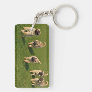 Playful Shar Pei Puppies Keychain