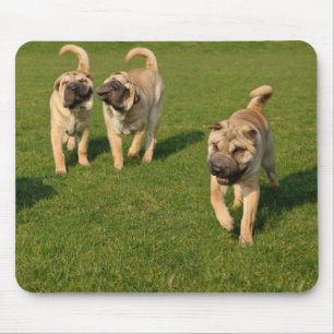 Playful Shar Pei Puppies Mouse Pad
