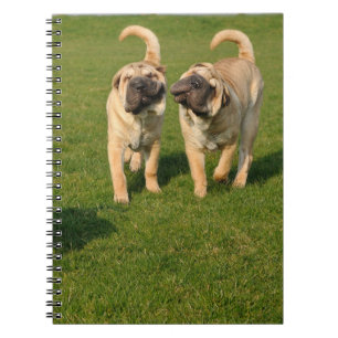 Playful Shar Pei Puppies Notebook